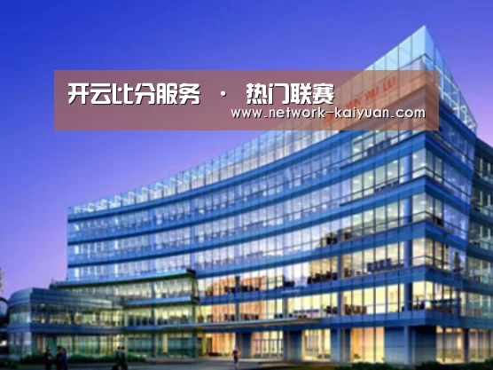 开云案例展示三