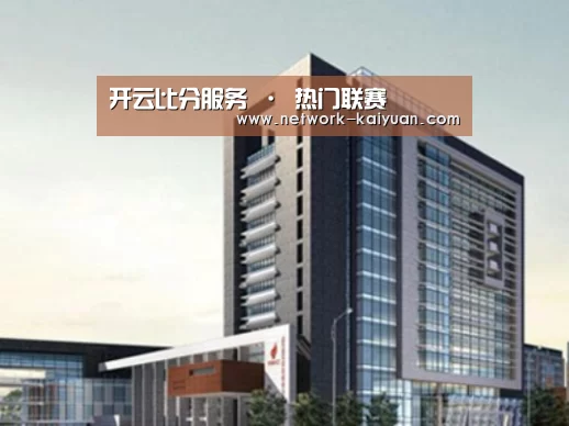 开云案例展示四