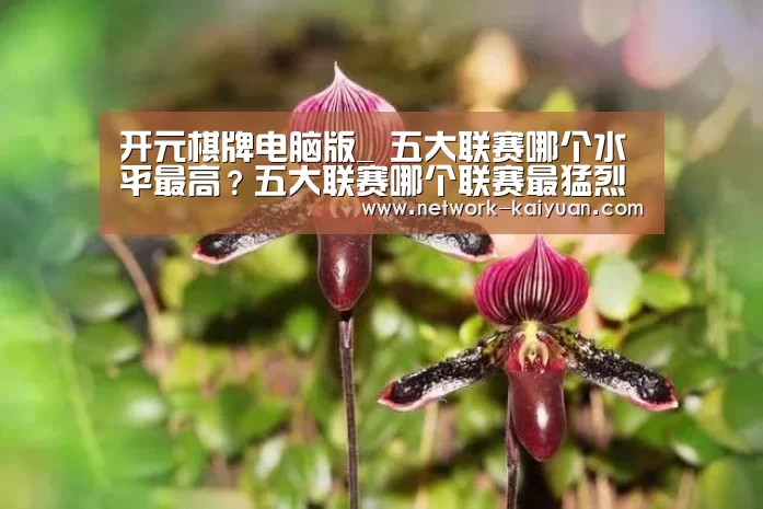 开元棋牌电脑版_
五大联赛哪个水平最高?五大联赛哪个联赛最猛烈?(图4) 开云